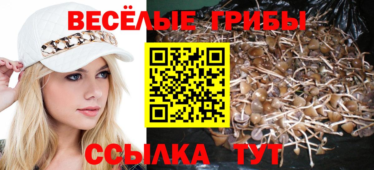 Красноуфимск  Псилоцибиновые грибы GOLDEN TEACHER  Вход с VPN 